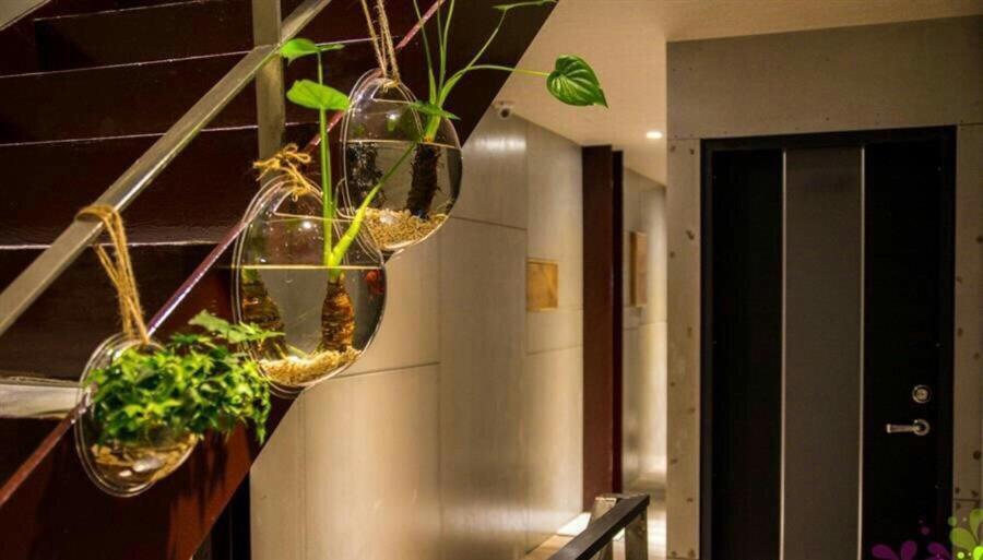 Yy Elleys Home Цзяоси Экстерьер фото
